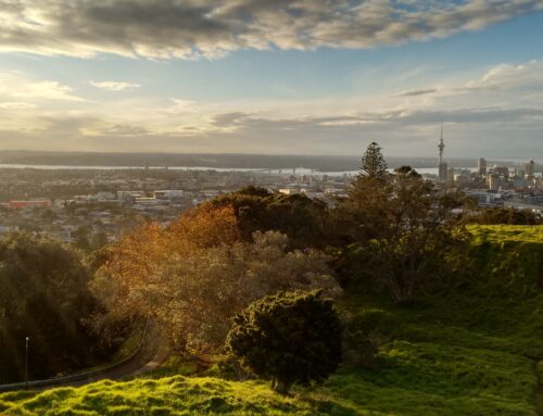 9 Lessons I Learned About Being a Speaker in New Zealand