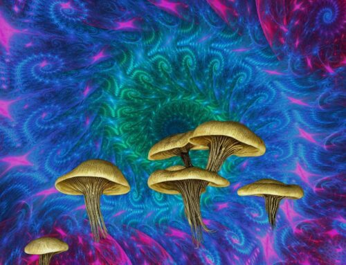 The Psychedelic Renaissance: Science, Spirituality, and Controversy